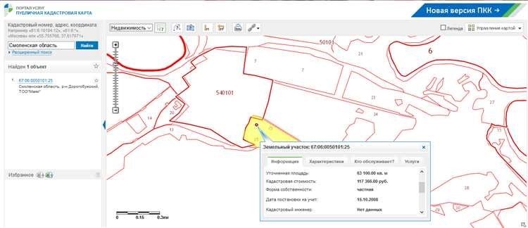 Публичная кадастровая карта калининградской области онлайн-доступ и информация